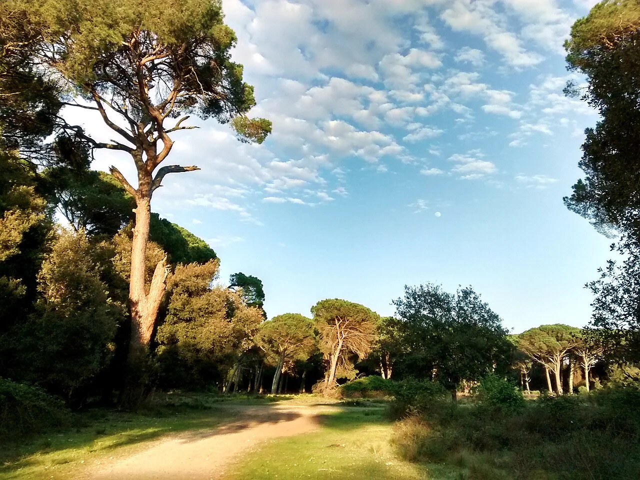 Parc Migliarino San Rossore