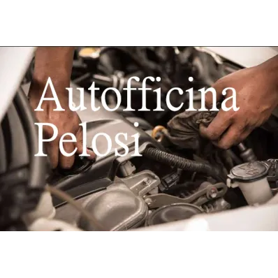 Autofficina Pelosi