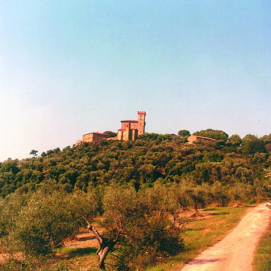Vicopisano