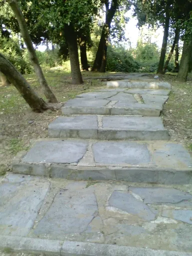 Riparbella